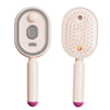 Electric Spray Massage Hair Comb